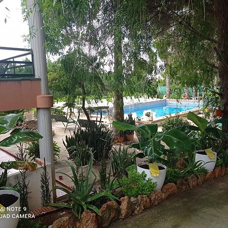 Casa Rural Complex Masia Del Tremendo Y Agroturismo Camarles エクステリア 写真