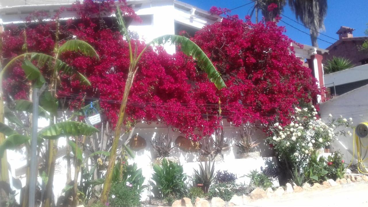 Casa Rural Complex Masia Del Tremendo Y Agroturismo Camarles エクステリア 写真