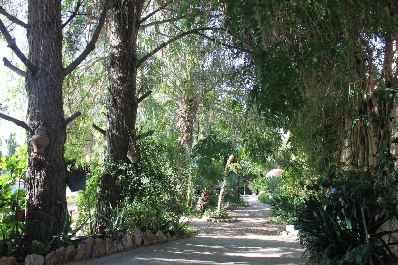 Casa Rural Complex Masia Del Tremendo Y Agroturismo Camarles エクステリア 写真