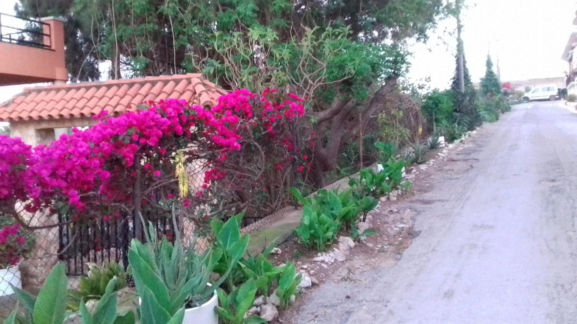 Casa Rural Complex Masia Del Tremendo Y Agroturismo Camarles エクステリア 写真